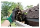 Best service for Gutter Cleaning in Derry West