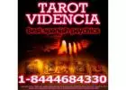 Best psychics and tarot readers -MD