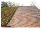 Best time of year to remove moss from roof UK