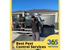 Pest Control Point Cook – Your Local Solution for a Pest-Free Home!