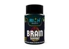 Maximize Your Cognitive Potential with Brain Support Supplements