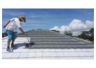 Best service for Roof Painting in Ashmore