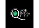 Sales Accepted Lead -  Q-Lead 