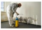 Professional Mould Cleaning Services for a Healthier Home