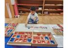 Primary Montessori: A Path to Lifelong Learning