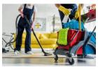 Best service for Deep clean in Palermo West