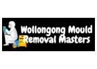 Wollongong Mould Removal Masters