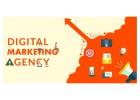 Boost Your Business with Expert Digital Marketing Services