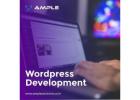 custom wordpress theme development