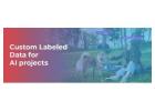 The Role of Custom Labeled Data in Transforming AI Projects