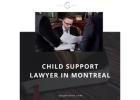 Child Support Lawyer in Montreal  - Spunt & Carin