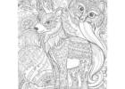 Explore Beautiful Animals Coloring Pages