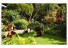 Best service for Garden maintenance in Māngere East