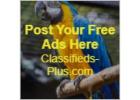 Post Your Ads For FREE