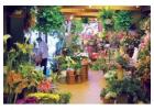 Best Flower Shop in Woodhill