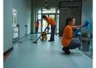 Best service for Commercial Cleaning in Cowie Hill