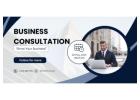 Business Consultation - Fenix Venture