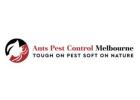 Ant Pest Control Melbourne