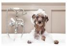 Best service for Pet Baths in Adams