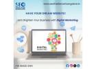 Hire the Best SEO Expert in Bangalore -  SEO Freelancer Bangalore