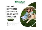 Get Best Synthetic Grass for Dogs & Pet Facilities | FieldTurf Landscape