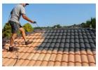 Best service for Roof Painting in Tuckombil