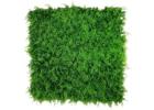 Breathe Life Into Your Space with Artificial Green Walls