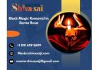 Black Magic Removal in Santa Rosa - Master Shiv Sai Ji