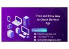 Free and Easy Way to Check Domain Age