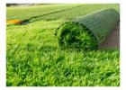 Affordable and Durable Artificial Grass Price Perth