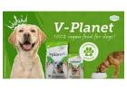 Healthiest Dog Food Dubai