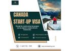 Top Business immigration with TechX startup