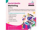 Social Media Marketing Company in Jaipur