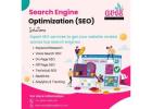 SEO Company in Jaipur | Aves Digital Agency