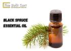 Buy Black Spruce Essential Oil in Bulk – The Bulk Cart