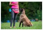 Best Obedience Training service in Colima