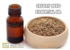 Celery Seed Essential Oil Supplier – Bulk & Wholesale Orders