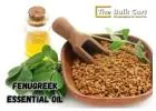 Wholesale Fenugreek Essential Oil Distributor – Best Deals