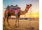 Explore Rajasthan with 4 Day Tour Packages Rajasthan