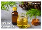 Jack Pine Essential Oil at Wholesale Prices – The Bulk Cart