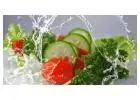 Food Hygiene Cert
