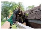 Best Gutter Cleaning service in Swanson