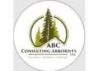 Tree Service Spokane