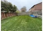 Best Service for Sodding Installation in Streetsville