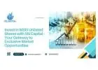 Invest in MSEI Unlisted Shares with SN Capital – Your Gateway to Exclusive Market Opportunities