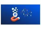 Ecommerce PPC Management