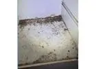 Best Cockroach Removal service in Falcon