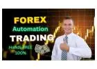 Your Future Is Automated: Start with Passive Forex