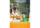 GAME CHANGER-HUMAN GRADE-PATENT PENDING -SOFT CHEW FOR DOGS
