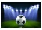 Transform Your Field with Delhi's Premier Football Turf Manufacturer